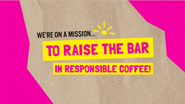 RiSE Coffee Box Subscription