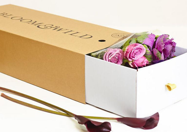 Flowers every month UK 7