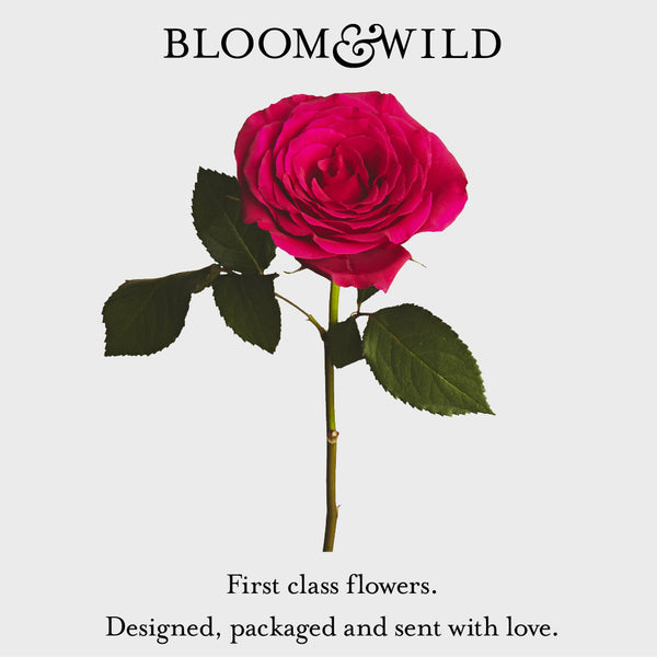 Flowers every month UK